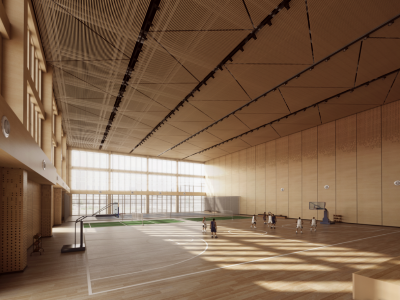 南海雙語實驗學校體育館建筑聲學、專業音響